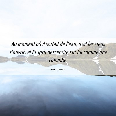 Picture 06 - Marc 1:10 LSG - Au moment où il sortait de l'eau, il vit les - Bible Verse Picture
