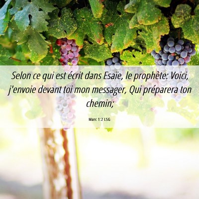 Picture 06 - Marc 1:2 LSG - Selon ce qui est écrit dans Esaïe, le - Bible Verse Picture
