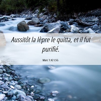 Picture 06 - Marc 1:42 LSG - Aussitôt la lèpre le quitta, et il fut - Bible Verse Picture