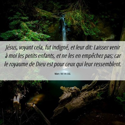 Picture 06 - Marc 10:14 LSG - Jésus, voyant cela, fut indigné, et leur dit: - Bible Verse Picture