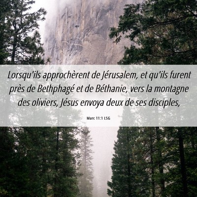 Picture 06 - Marc 11:1 LSG - Lorsqu'ils approchèrent de Jérusalem, et qu'ils - Bible Verse Picture