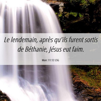Picture 06 - Marc 11:12 LSG - Le lendemain, après qu'ils furent sortis de - Bible Verse Picture