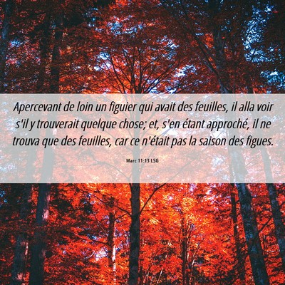 Picture 06 - Marc 11:13 LSG - Apercevant de loin un figuier qui avait des - Bible Verse Picture