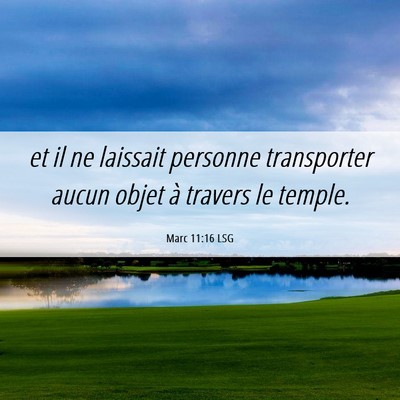 Picture 06 - Marc 11:16 LSG - et il ne laissait personne transporter aucun - Bible Verse Picture