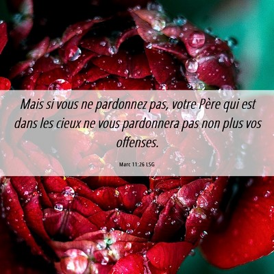 Picture 06 - Marc 11:26 LSG - Mais si vous ne pardonnez pas, votre Père qui - Bible Verse Picture