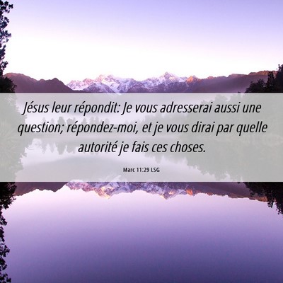 Picture 06 - Marc 11:29 LSG - Jésus leur répondit: Je vous adresserai aussi - Bible Verse Picture