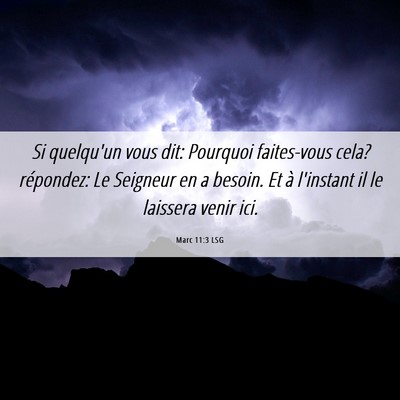 Picture 06 - Marc 11:3 LSG - Si quelqu'un vous dit: Pourquoi faites-vous cela? - Bible Verse Picture