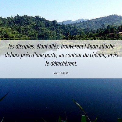 Picture 06 - Marc 11:4 LSG - les disciples, étant allés, trouvèrent l'ânon - Bible Verse Picture