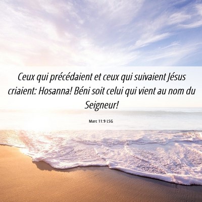 Picture 06 - Marc 11:9 LSG - Ceux qui précédaient et ceux qui suivaient - Bible Verse Picture