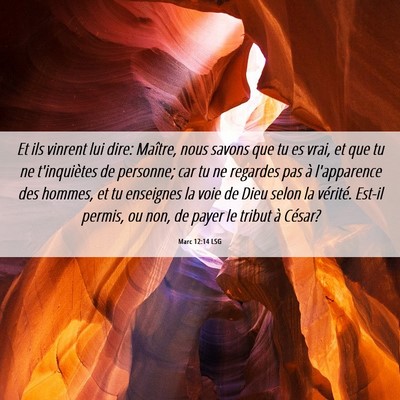 Picture 06 - Marc 12:14 LSG - Et ils vinrent lui dire: Maître, nous savons que - Bible Verse Picture