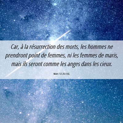 Picture 06 - Marc 12:25 LSG - Car, à la résurrection des morts, les hommes ne - Bible Verse Picture
