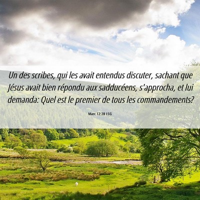 Picture 06 - Marc 12:28 LSG - Un des scribes, qui les avait entendus discuter, - Bible Verse Picture