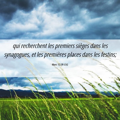 Picture 06 - Marc 12:39 LSG - qui recherchent les premiers sièges dans les - Bible Verse Picture