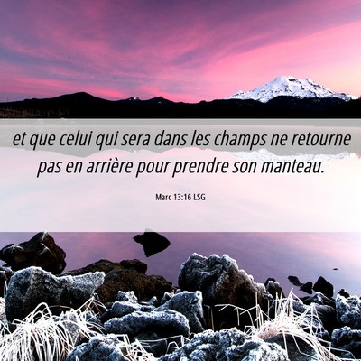 Picture 06 - Marc 13:16 LSG - et que celui qui sera dans les champs ne retourne - Bible Verse Picture