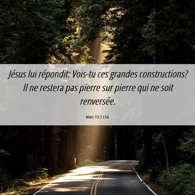 Picture 06 - Marc 13:2 LSG - Jésus lui répondit: Vois-tu ces grandes - Bible Verse Picture