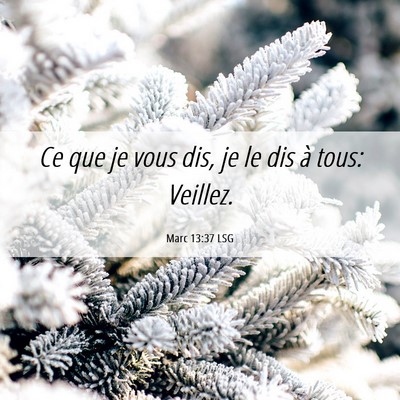 Picture 06 - Marc 13:37 LSG - Ce que je vous dis, je le dis à tous: - Bible Verse Picture