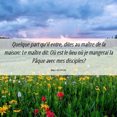 Picture 06 - Marc 14:14 LSG - Quelque part qu'il entre, dites au maître de la - Bible Verse Picture