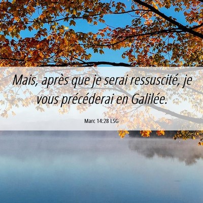 Picture 06 - Marc 14:28 LSG - Mais, après que je serai ressuscité, je vous - Bible Verse Picture