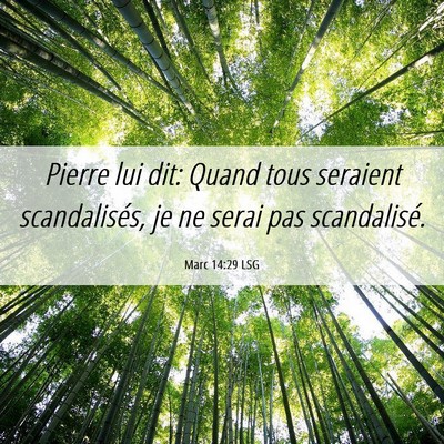 Picture 06 - Marc 14:29 LSG - Pierre lui dit: Quand tous seraient scandalisés, - Bible Verse Picture