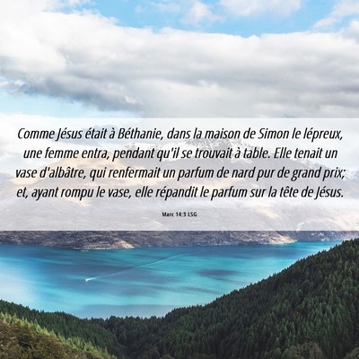 Picture 06 - Marc 14:3 LSG - Comme Jésus était à Béthanie, dans la maison - Bible Verse Picture