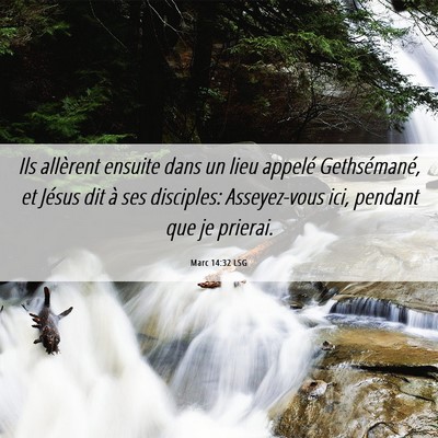 Picture 06 - Marc 14:32 LSG - Ils allèrent ensuite dans un lieu appelé - Bible Verse Picture