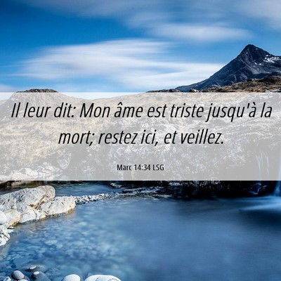 Picture 06 - Marc 14:34 LSG - Il leur dit: Mon âme est triste jusqu'à la - Bible Verse Picture