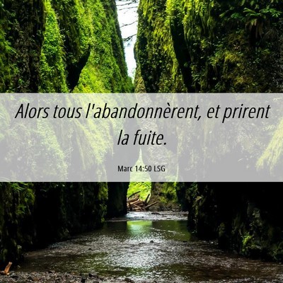 Picture 06 - Marc 14:50 LSG - Alors tous l'abandonnèrent, et prirent la - Bible Verse Picture