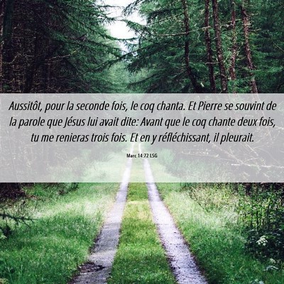 Picture 06 - Marc 14:72 LSG - Aussitôt, pour la seconde fois, le coq chanta. - Bible Verse Picture