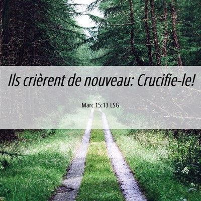 Picture 06 - Marc 15:13 LSG - Ils crièrent de nouveau: - Bible Verse Picture