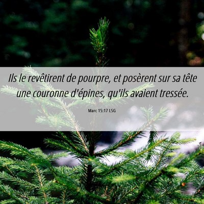 Picture 06 - Marc 15:17 LSG - Ils le revêtirent de pourpre, et posèrent sur - Bible Verse Picture