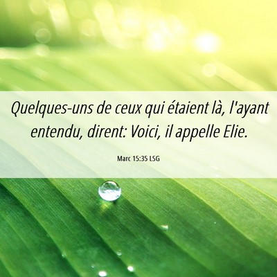 Picture 06 - Marc 15:35 LSG - Quelques-uns de ceux qui étaient là, l'ayant - Bible Verse Picture