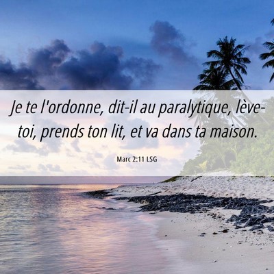 Picture 06 - Marc 2:11 LSG - Je te l'ordonne, dit-il au paralytique, - Bible Verse Picture