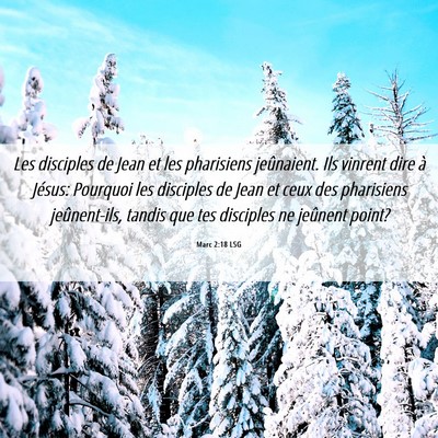 Picture 06 - Marc 2:18 LSG - Les disciples de Jean et les pharisiens - Bible Verse Picture