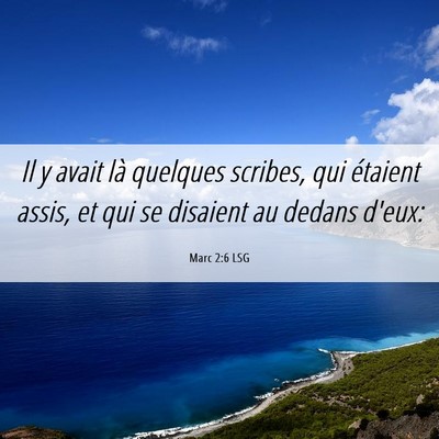 Picture 06 - Marc 2:6 LSG - Il y avait là quelques scribes, qui étaient - Bible Verse Picture
