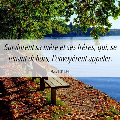 Picture 06 - Marc 3:31 LSG - Survinrent sa mère et ses frères, qui, se - Bible Verse Picture