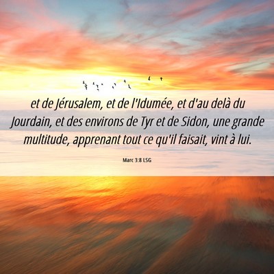 Picture 06 - Marc 3:8 LSG - et de Jérusalem, et de l'Idumée, et d'au delà - Bible Verse Picture