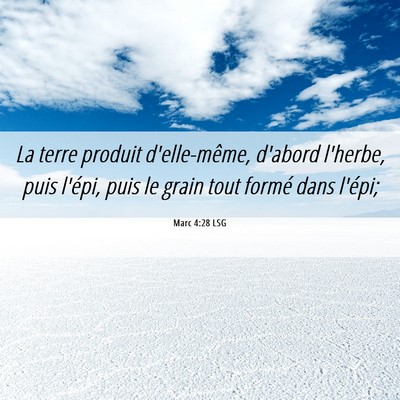 Picture 06 - Marc 4:28 LSG - La terre produit d'elle-même, d'abord l'herbe, - Bible Verse Picture