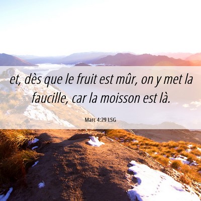 Picture 06 - Marc 4:29 LSG - et, dès que le fruit est mûr, on y met la - Bible Verse Picture