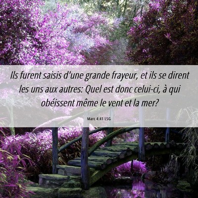 Picture 06 - Marc 4:41 LSG - Ils furent saisis d'une grande frayeur, et ils se - Bible Verse Picture