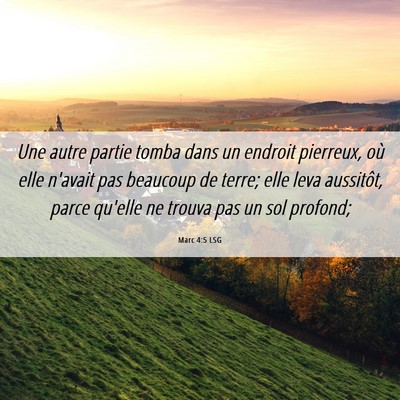 Picture 06 - Marc 4:5 LSG - Une autre partie tomba dans un endroit pierreux, - Bible Verse Picture