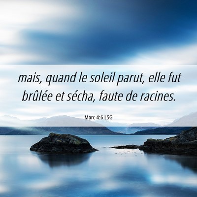 Picture 06 - Marc 4:6 LSG - mais, quand le soleil parut, elle fut brûlée et - Bible Verse Picture