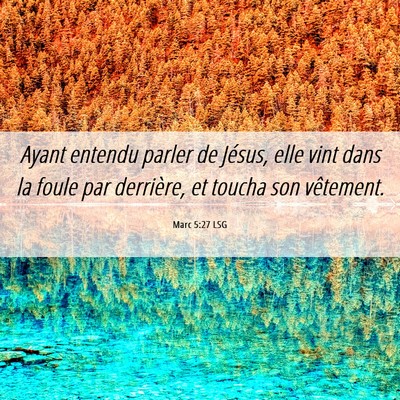 Picture 06 - Marc 5:27 LSG - Ayant entendu parler de Jésus, elle vint dans la - Bible Verse Picture