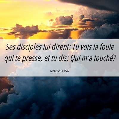 Picture 06 - Marc 5:31 LSG - Ses disciples lui dirent: Tu vois la foule qui te - Bible Verse Picture