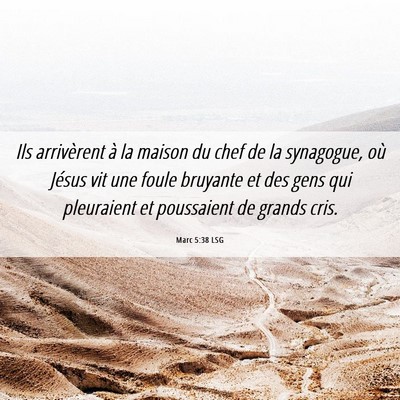 Picture 06 - Marc 5:38 LSG - Ils arrivèrent à la maison du chef de la - Bible Verse Picture