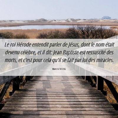 Picture 06 - Marc 6:14 LSG - Le roi Hérode entendit parler de Jésus, dont le - Bible Verse Picture