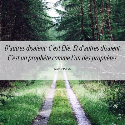 Picture 06 - Marc 6:15 LSG - D'autres disaient: C'est Elie. Et d'autres - Bible Verse Picture