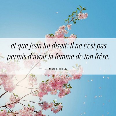 Picture 06 - Marc 6:18 LSG - et que Jean lui disait: Il ne t'est pas permis - Bible Verse Picture