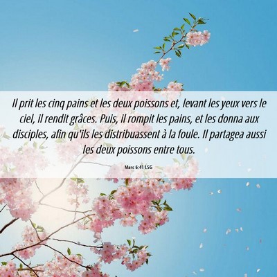 Picture 06 - Marc 6:41 LSG - Il prit les cinq pains et les deux poissons et, - Bible Verse Picture