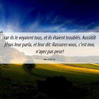 Picture 06 - Marc 6:50 LSG - car ils le voyaient tous, et ils étaient - Bible Verse Picture