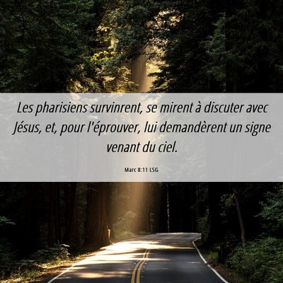 Picture 06 - Marc 8:11 LSG - Les pharisiens survinrent, se mirent à discuter - Bible Verse Picture